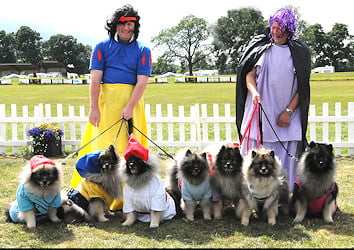 fd7dwarves