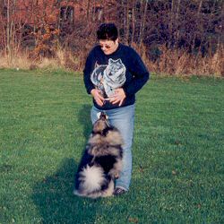 Keeshond Scenting
