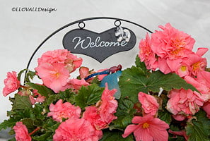 welcome