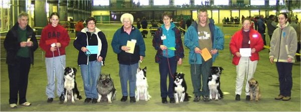 Keeshond Stay Exercises